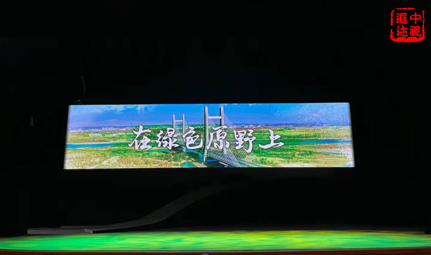 在绿色的原野上